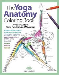 The Yoga Anatomy Coloring Book A Visual Guide To Form Function And Movement Kelly Solloway Samantha Stut Anatomy Coloring Book Yoga Anatomy Coloring Books