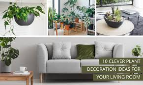 Its beautiful, distinct shape and glossy leaves make it incredibly visually appealing. 10 Clever Plant Decoration Ideas For In Your Living Room Eplanters