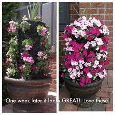 Home Depot Flower Tower First Day And Then Seven Days Later Love It Flower Tower Front Yard Plants Planter Arrangements
