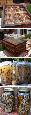 How To Make Beehive In A Jar Diy Crafts Bienenstock Bienen Bienenhaltung