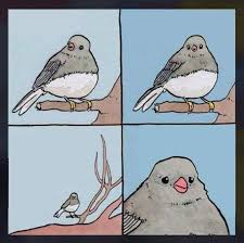 Dead Meme But I Like Birds Meme By Title Memedroid