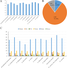 Image result for Elytrophorus globularis