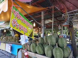 Maybe you would like to learn more about one of these? Thai Durians Vs Malaysia Durians
