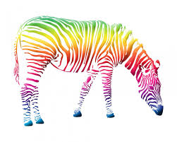 Check spelling or type a new query. Rainbow Zebra Print Colorful Print Kids Playroom Etsy