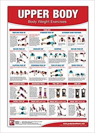 Bodyweight Training Poster Chart Upper Body Chest