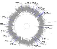 Reviews including positive singles, poz personals, hiv passions, dating someone with a reliable and effective hiv dating site can not only help you make friends and gather support that was missing earlier in your life, but also aid in finding a. The Effect Of Interventions On The Transmission And Spread Of Hiv In South Africa A Phylodynamic Analysis Scientific Reports