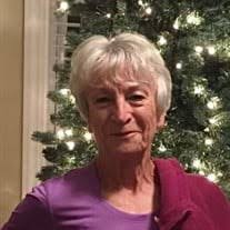 Carol Curry Vicario Obituary (2024)