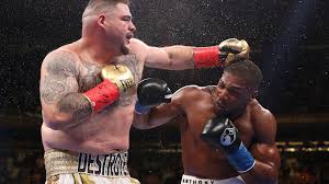 Image result for anthony joshua v ruiz