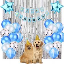 Making a special day even more special for your loved ones has always been. New Pet Birthday Decorations Set Happy Banner Confetti Balloons Rain Curtain For Luxury Party Decoration Buy Dog Ear Hats Knit Cat Hat Cat Dog Birthday Party Hat Product On Alibaba Com