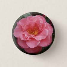 Pink Camellia Flower Button Pin Xmas Christmaseve Christmas Eve Christmas Merry Xmas Family Kids Gifts Holidays Christmas Buttons Flower Gift Button Flowers