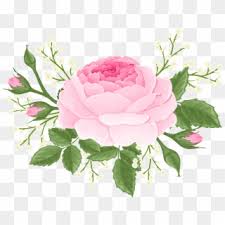 Abstract floral frame png gambar bunga png hd clipart 654529. Purple Rose Clipart Bunga Hd Png Download 8000x6188 1571937 Pngfind