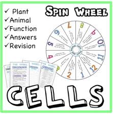 The main difference between plant and animal cell cytokinesis is the formation of a cell plate in plant cells, rather than the formation of the cleavage. Plant And Animal Cells Revision Spin Wheel Game By Science House