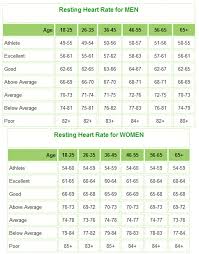 Heart Rate Average Heart Rate Zones
