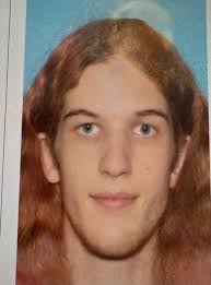 For sale, wood furnace, $800