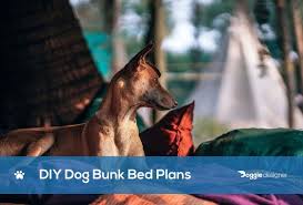 No matter how big your dog is, you can still find large dog beds for your beloved giant. 5 Diy Dog Bunk Bed Plans You Can Build Today With Pics Doggie Designer