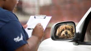 There are more than 440 locally run vets4pets practices across the uk. A Rare Economic Bright Spot In The U S Health System The Vet S Office The New York Times