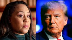 A judge just indefinitely paused one of Trump's cases. Legal analyst weighs  in