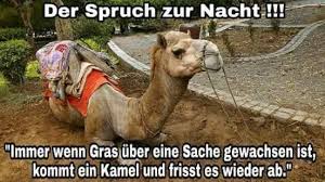 Der Spruch Zur Nacht Micha S Spruche Zur Nacht Facebook