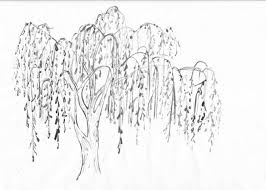 Artistic Black And White Tree Drawings Black Willow Tree Drawing Ngorong Club Willow Tree Tattoos Tree Tattoo Black Willow Tree Art