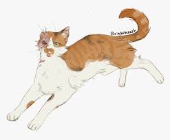 Tell Me Whatever You Want But Brightheart Should Have Drawing Calico Warrior Cat Hd Png Download Transparent Png Image Pngitem The most random conversations and text messages between the warrior cats. drawing calico warrior cat hd png