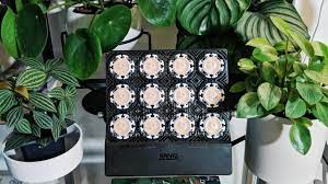 Maybe you would like to learn more about one of these? Full Spectrum Led Grow Lights And Plants Growth The Best Grow Lights