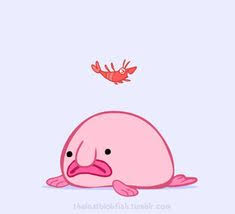 Check spelling or type a new query. 140 Blobfish Ideen Hassliche Tiere Tiefsee Wesen Ungewohnliche Tiere