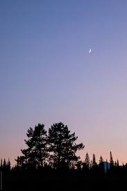Moon rise sun moon moon setting trees celestial sunset outdoor outdoors tree structure. Small Crescent Moon Over Mountains And Trees At Sunset By Simone Anne