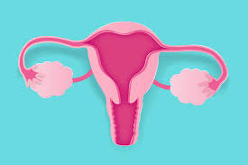 Ovarian cancer often spreads from the ovaries to the diaphragm, the lining of the abdomen (peritoneum), and the the main genetic condition known to increase the risk of ovarian cancer is hereditary breast/ovarian cancer, usually caused by a fault in the brca1 and brca2 genes. 7 Ovarian Cancer Causes Risk Factors To Know According To Doctors