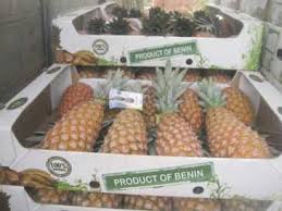 Chercher Des Petites Annonces Fruits Et Legumes Benin