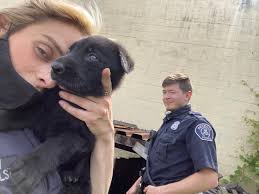 Brianne Rae Carlson's Obituary