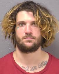 Will County Jail Roundup April 29