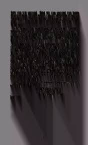 A genealogy of the descendants of Robert Austin of Kingstown, Rhode Island.