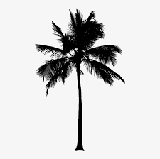 The image is transparent png format with a resolution of 4738x8000 pixels, suitable for design use and personal projects. 15 Black And White Palm Tree Png For On Mbtskoudsalg Palm Tree Silhouette Png Image Transparent Png Free Download On Seekpng