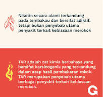 GEBRAK! | Hi Sobat GEBRAK! Apakah kamu tahu tentang nikotin ...