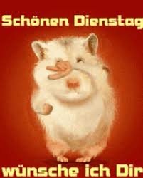 Lustige gifs, freche bilder und ein kunterbunter vogel. Wochenende Gifs Tenor