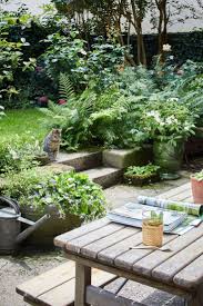 Schattengarten Mit Sonnigem Sitzplatz Bild 2 Schoner Schattengarten Garten Homestory Hinterhof Hint Small Cottage Garden Ideas Shade Garden Shade Plants