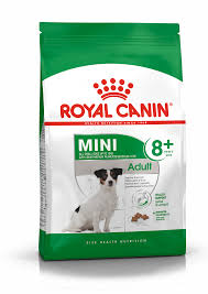 There are four colors in the breed, blue merle, black tri, red merle and red tri. Mini Adult 8 Dry Royal Canin