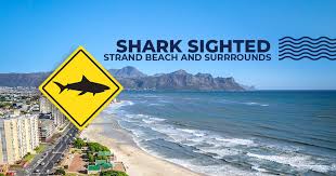 نتیجه جستجوی لغت [strand] در گوگل