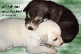 Grusskarten Mit Djabbi Teddy Tier Fotos Grusse Tiere