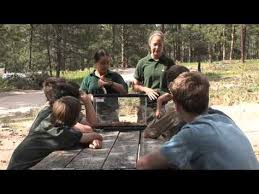 Camp Cris Dobbins Camping Boy Scouts Of America Scouts Of America
