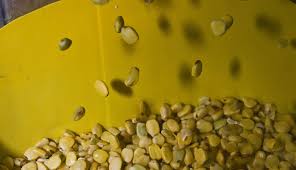 A goma de alfarroba aparece por escrito, como goma de alfarroba, ou com o número (e410). El7oe5rudlejgm