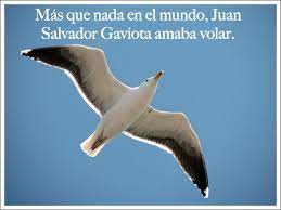 ¡ponte al centro para tu vergüenza ante la mirada de tus 27 porque, a pesar de su pasado solitario, juan gaviota había nacido para ser instructor, y su manera de demostrar el amor era compartir algo de la verdad. Juan Salvador Gaviota Eduardo Mora