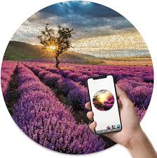 Speaking of quizzes, why not take on the impossible quiz? Buy Wooden Jigsaw Puzzles For Adults Provence Unique Round Puzzles 3in1 Jigsaw Puzzle Ar Game Wall Decor Gift For Puzzle Lover Hard 19 7 Online In Usa B08z84cvdz