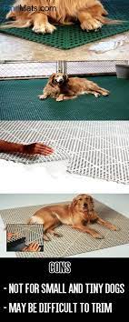 Pin On Dog Kennel Flooring For Outdoor And Indoor
