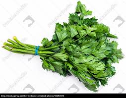 Balakrishna ಬಾಲಕೃಷ್ಣ m indian, telugu, kannada from sanskrit बल (bala) meaning strength, might combined with the name of the hindu god krishna. Newest Celery Leaves In Kannada Sale Off 50