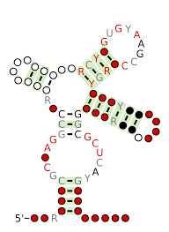 Like 4chan found a bloomberg terminal. Twister Sister Ribozyme Wikipedia