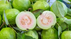 Manfaat Buah Jambu