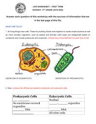 Eukaryotes have elaborate mechanisms for maintaining a each of these components affects the functioning of the cytoplasm in different ways, making it a dynamic region that plays a role in, and is. Structures Functions Relationships In Cells The Cell As A System Cell Theory Worksheet