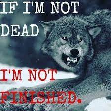 Animal Meme Inspirational Anzeigen Bereits Das Einer Es Hochwertig Ich Mag Mystical Wirklich Wisst Wrd Wolf Quotes Warrior Quotes Lone Wolf Quotes