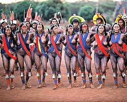 We did not find results for: As Kayapos